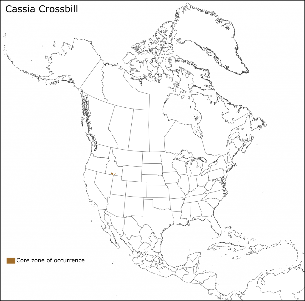 Cassia Crossbill – FINCH RESEARCH NETWORK