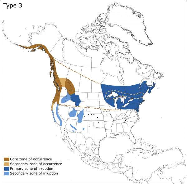 Red Crossbill (NA) – FINCH RESEARCH NETWORK