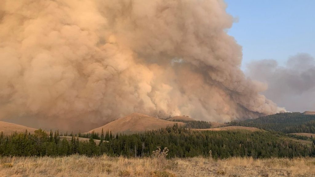 Conservation News Intense Idaho Wildfires Are Threatening this Brand