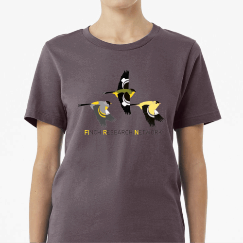Goldfinch Apparel